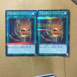 Valley of Sleep of Kings - Necrovalley 2 sheets