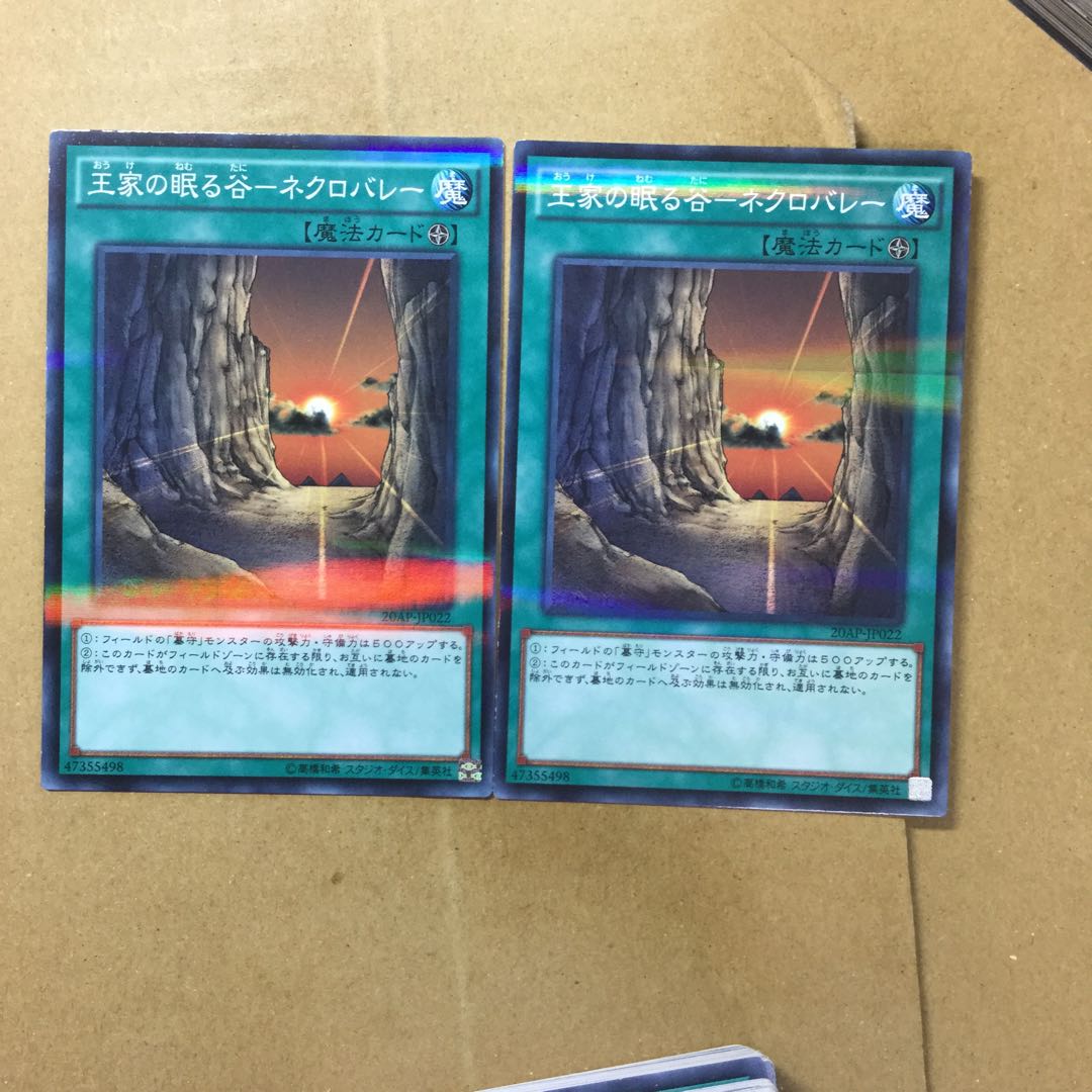 Valley of Sleep of Kings - Necrovalley 2 sheets