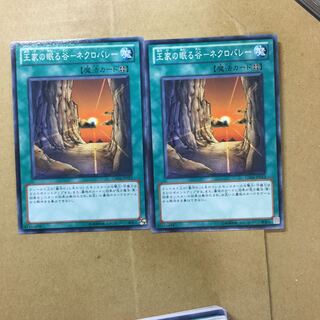 Valley of Sleep of Kings - Necrovalley 2 sheets