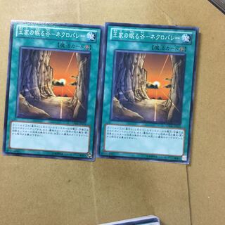 Valley of Sleep of Kings - Necrovalley 2 sheets