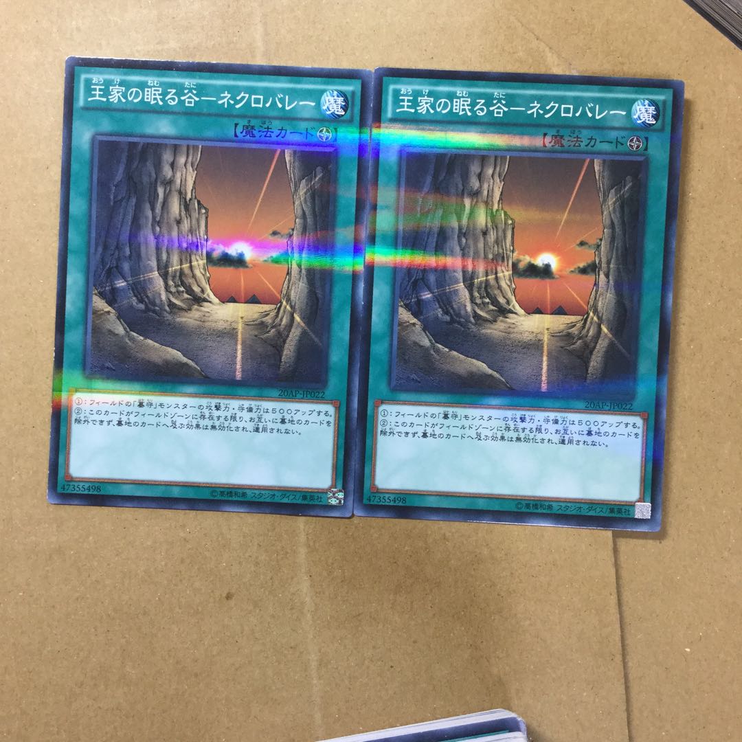 王家の眠る谷-ネクロバレー　２枚