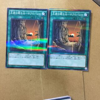 Valley of Sleep of Kings - Necrovalley 2 sheets