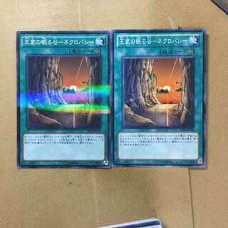 Valley of Sleep of Kings - Necrovalley 2 sheets