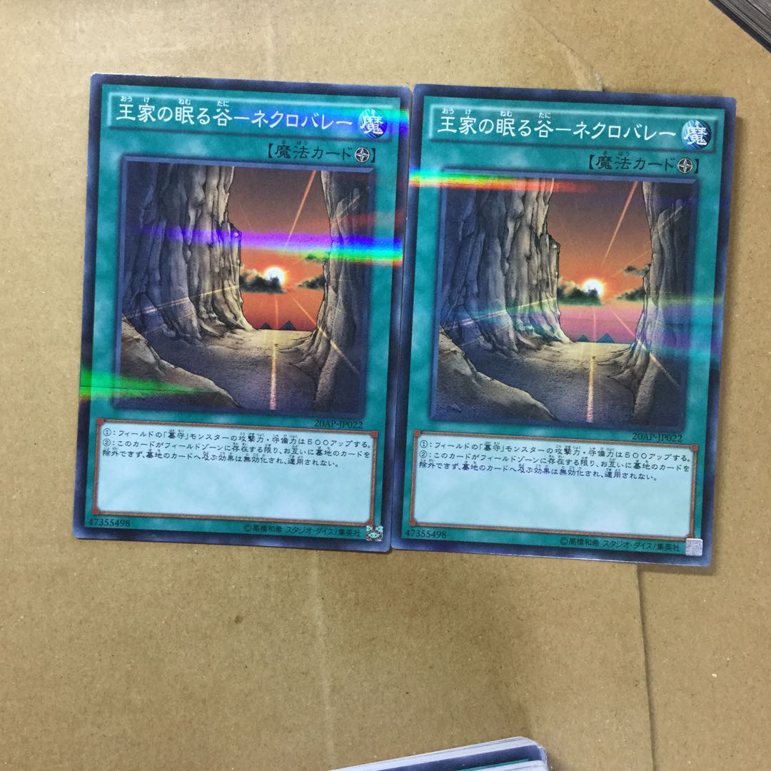 Valley of Sleep of Kings - Necrovalley 2 sheets