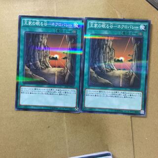 Valley of Sleep of Kings - Necrovalley 2 sheets