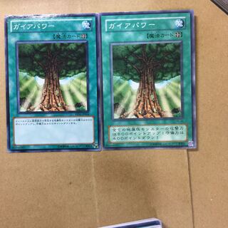 ガイアパワー　２枚