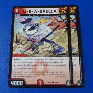 U・S・A・BRELLA　2枚【管理記号k】