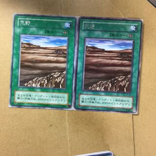 荒野　２枚