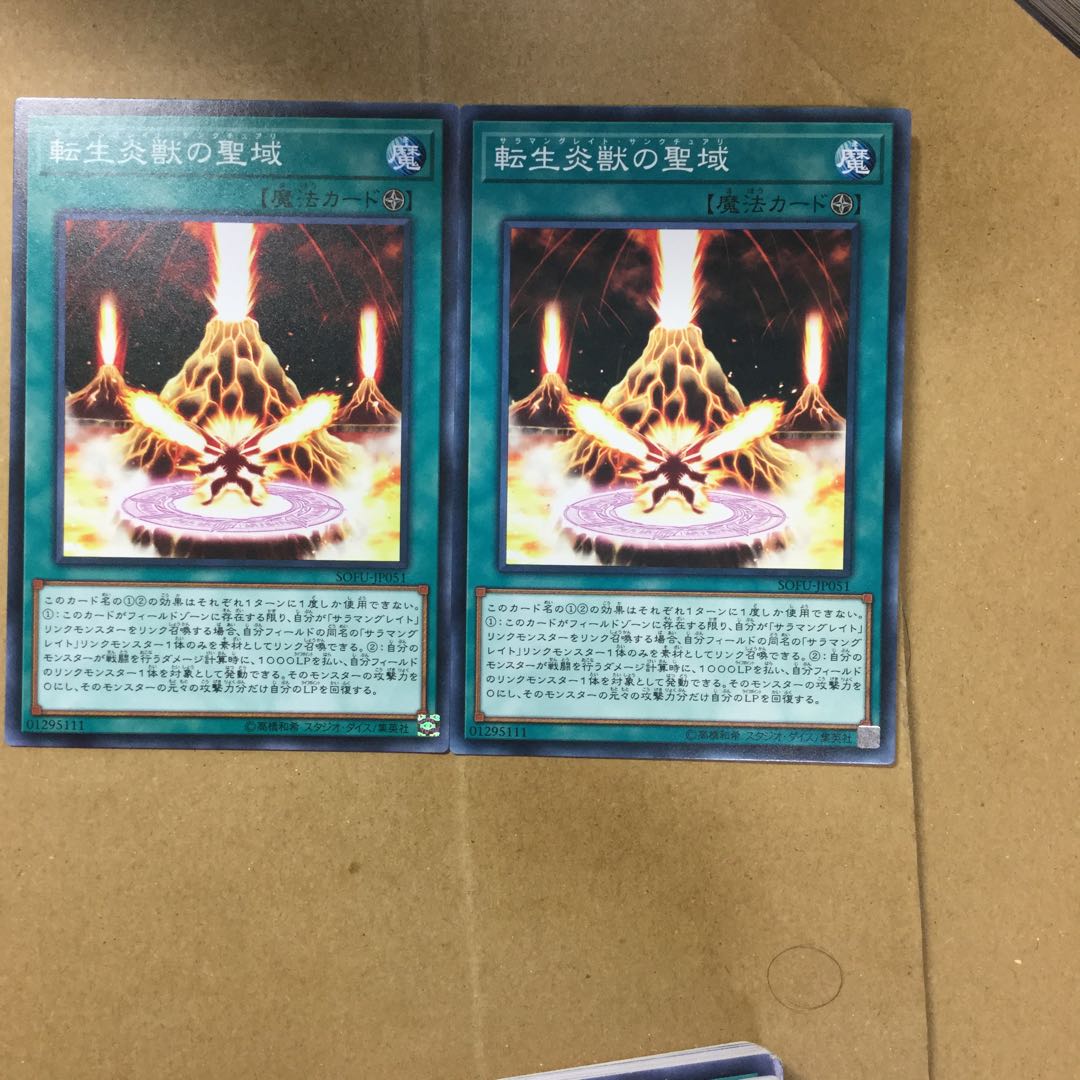 転生炎獣の聖域　２枚