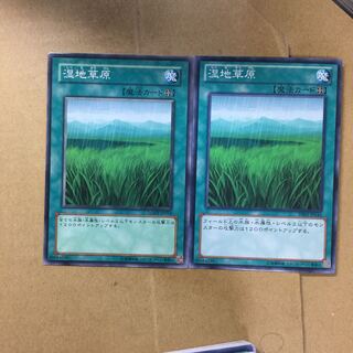 湿地草原　２枚