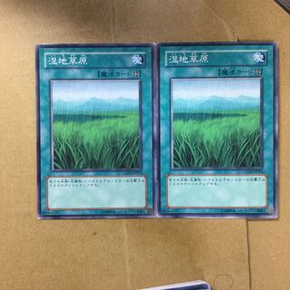 湿地草原　２枚