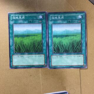 湿地草原　２枚