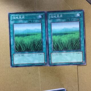 湿地草原　２枚