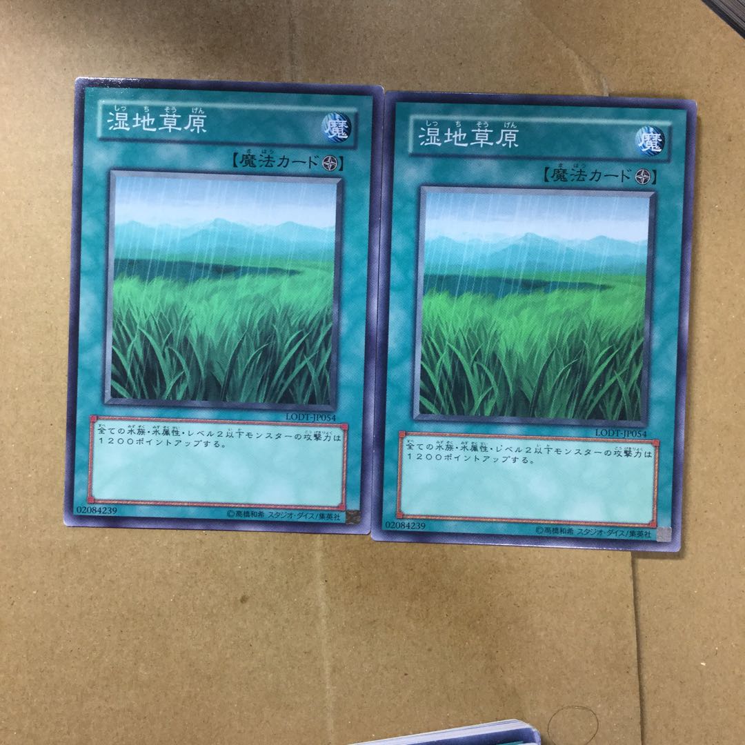 湿地草原　２枚