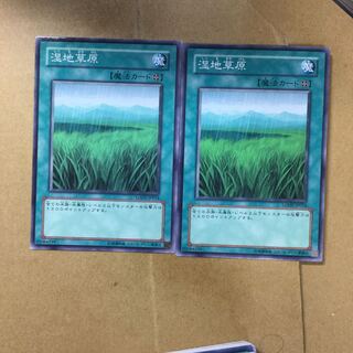 湿地草原　２枚