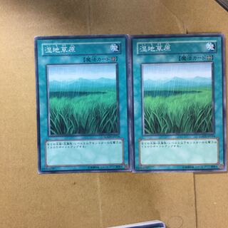 湿地草原　２枚