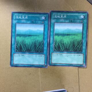 湿地草原　２枚