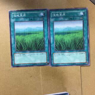 湿地草原　２枚