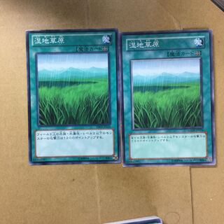 湿地草原　２枚