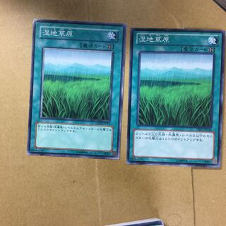 湿地草原　２枚