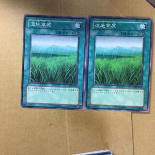 湿地草原　２枚