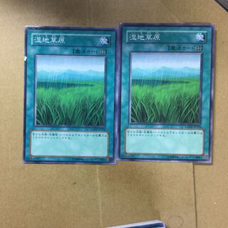 湿地草原　２枚