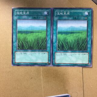 湿地草原　２枚