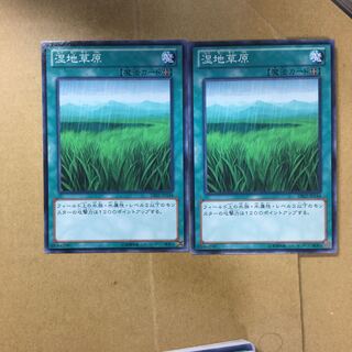 湿地草原　２枚