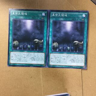 真帝王領域　２枚