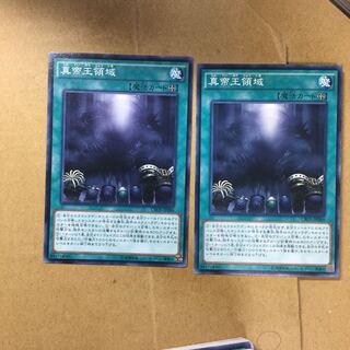 真帝王領域　２枚
