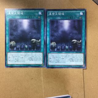 真帝王領域　２枚