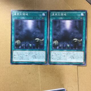 真帝王領域　２枚