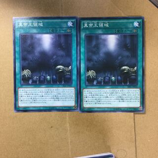 真帝王領域　２枚