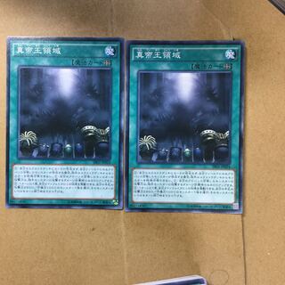 真帝王領域　２枚