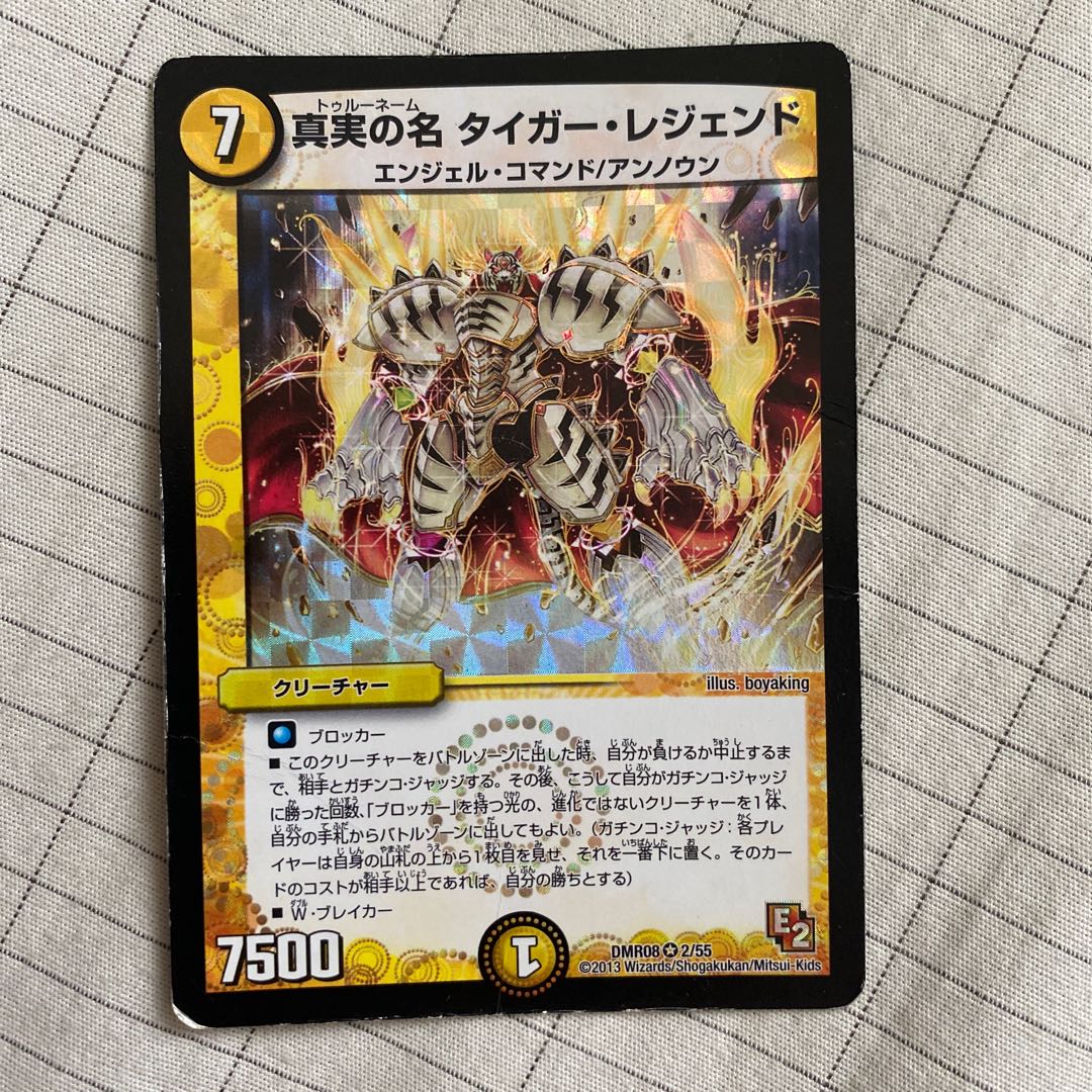 真実の名 タイガー・レジェンド VR 傷あり