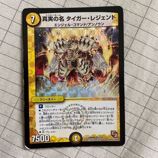 真実の名 タイガー・レジェンド VR 傷あり