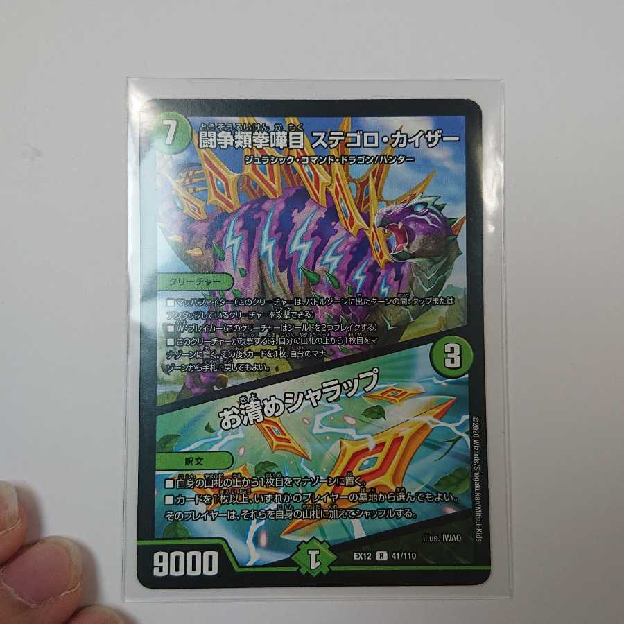 闘争類拳嘩目 ステゴロ・カイザー|お清めシャラップ