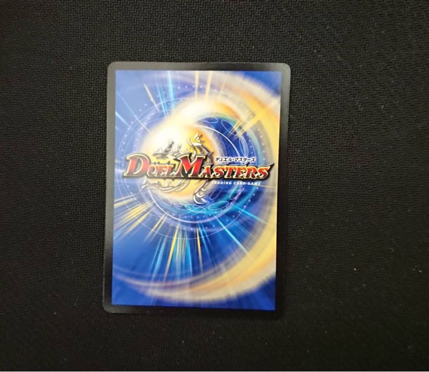 ヘビー級ヘビー 1枚