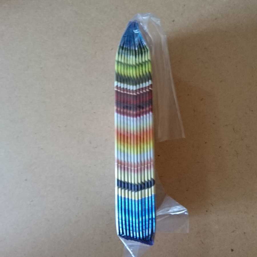 聖拳編 12パック