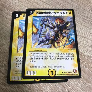 天雷の導士アヴァラルド公