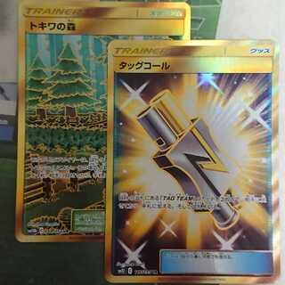 タッグコール&トキワの森