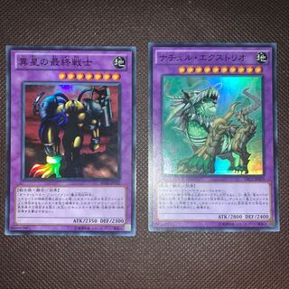 異星の最終戦士    ナチュル・エクストリオ