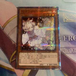 【ツナマヨさん】うらら20th