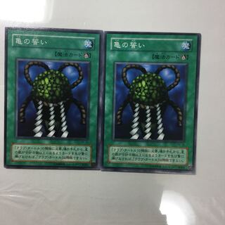 亀の誓い　２枚