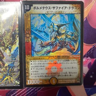 ボルメテウスサファイアドラゴン日焼け とわりゅー様専用