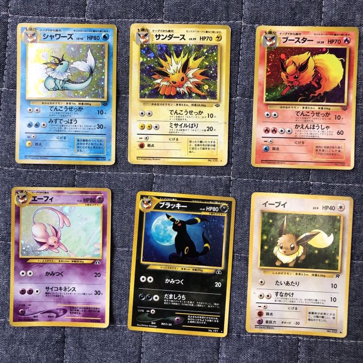 イーブイ一式セット