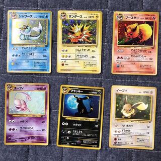 イーブイ一式セット