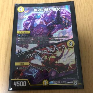 無双の縛り 達閃｜パシフィック・スパーク