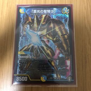 「雷光の聖騎士」