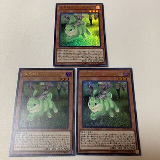 遊戯王 未界域のジャッカローブ ウルトラレア UR 3枚セット